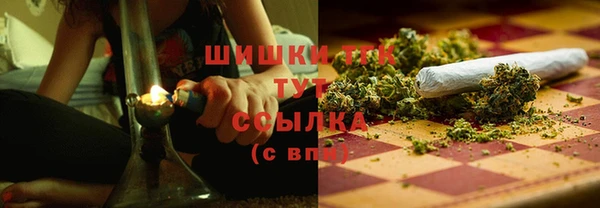 мдпв Горно-Алтайск