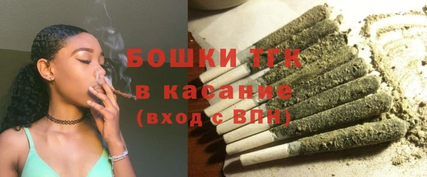 мдпв Горно-Алтайск