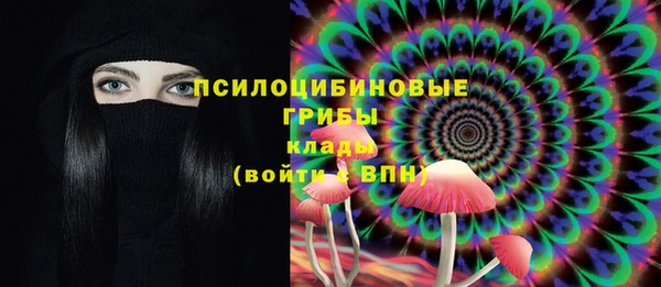 мдпв Горно-Алтайск
