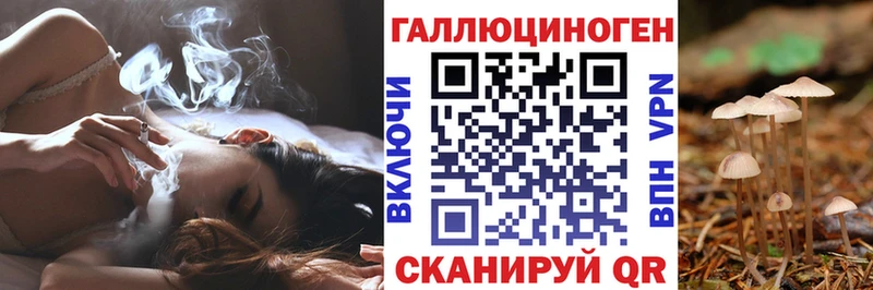 Купить где  Кировград  Псилоцибиновые грибы ЛСД 